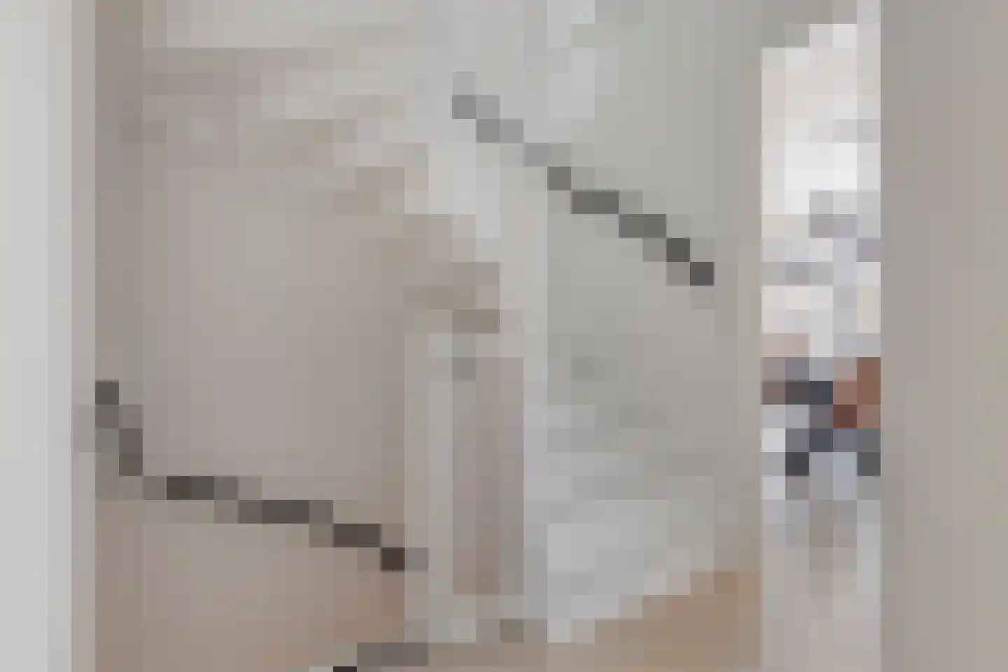 Grote Bagijnestraat 8 Hulst thumbnail 22
