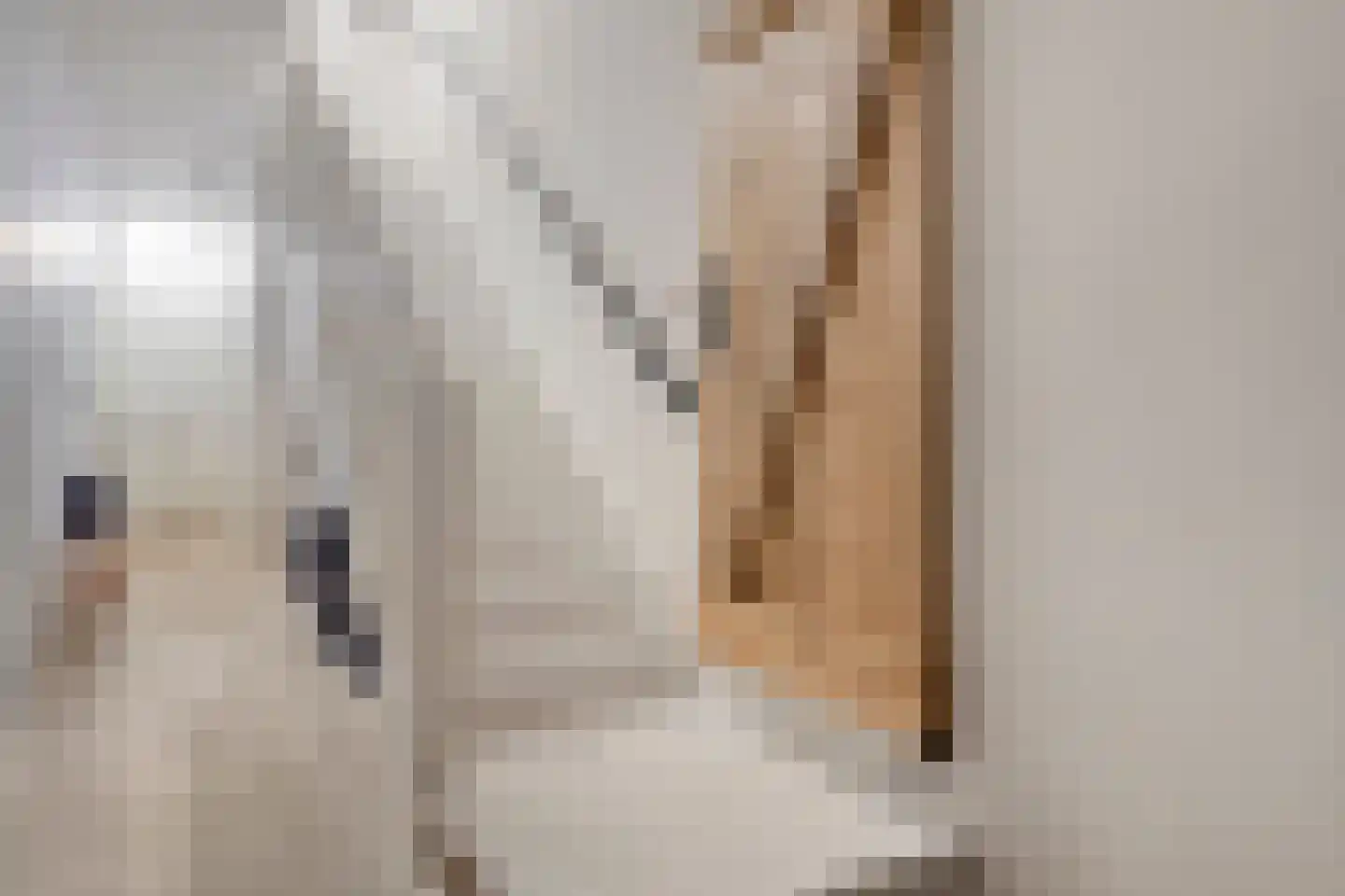 Grote Bagijnestraat 8 Hulst thumbnail 6