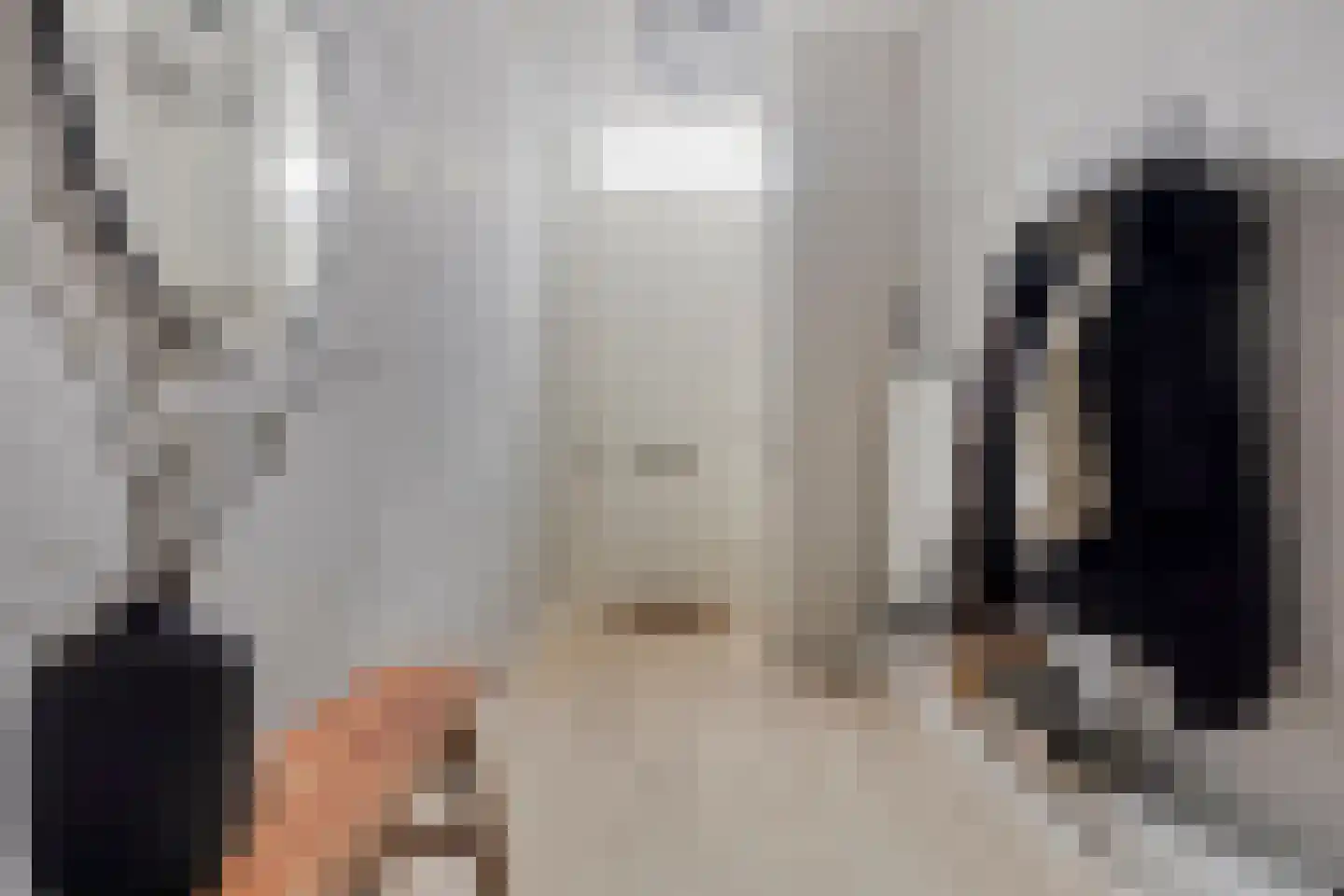 Grote Bagijnestraat 8 Hulst thumbnail 7