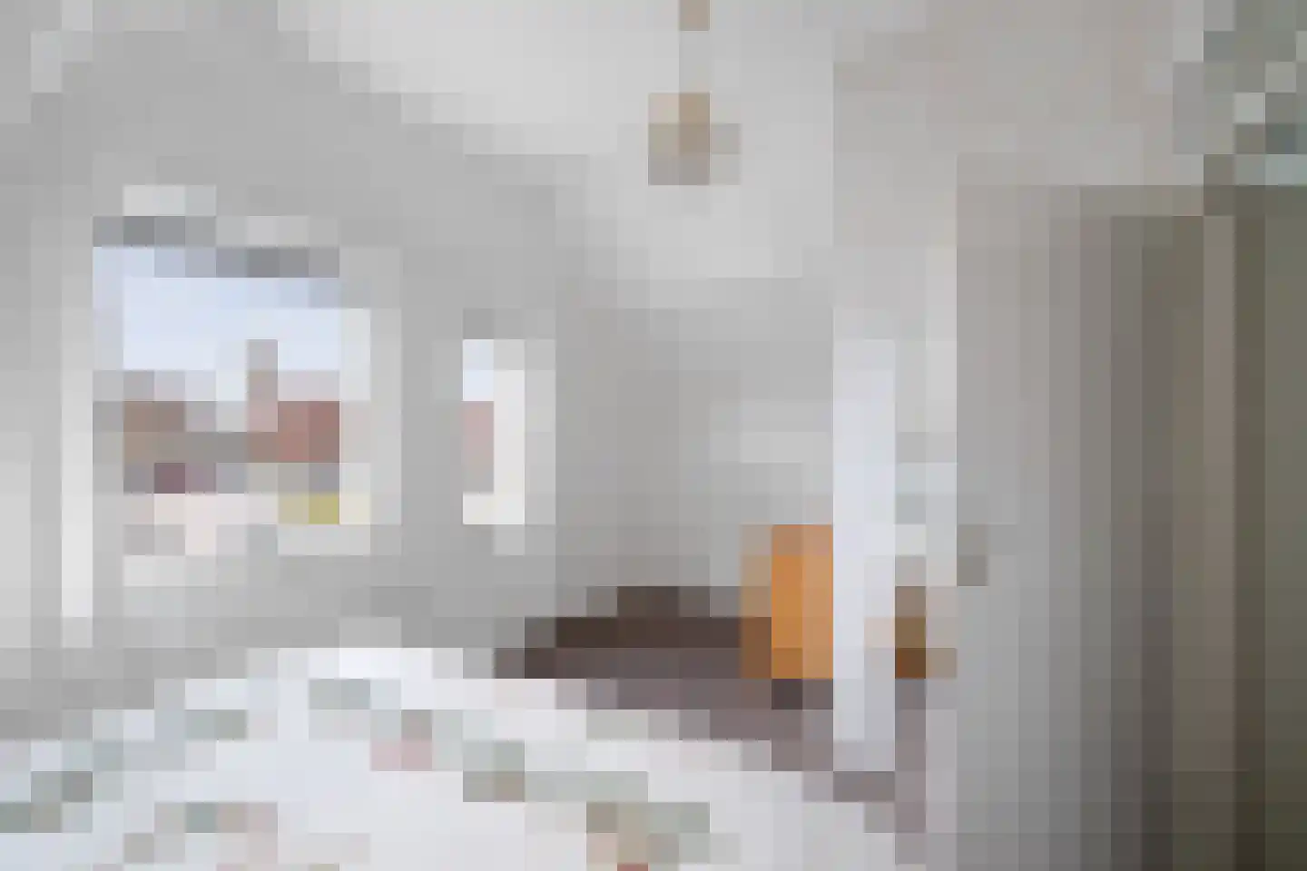 Grote Barteldweg 16 Twello thumbnail 19