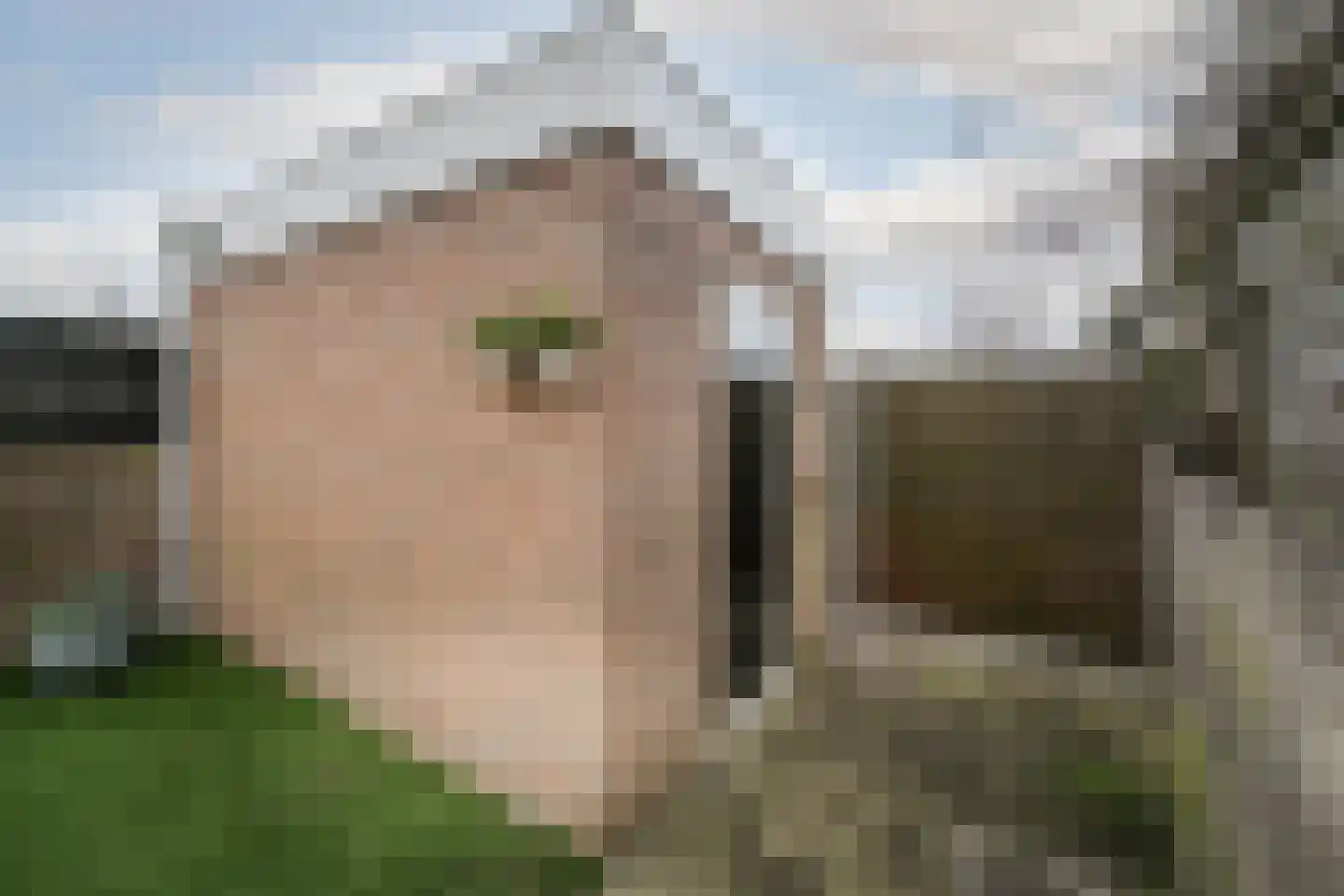 Grote Barteldweg 16 Twello thumbnail 30