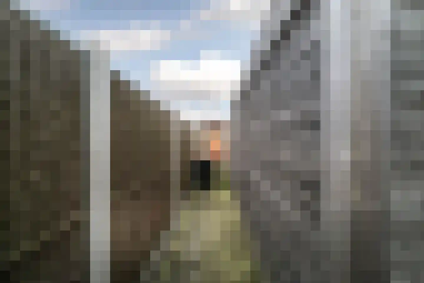 Grote Barteldweg 16 Twello thumbnail 31