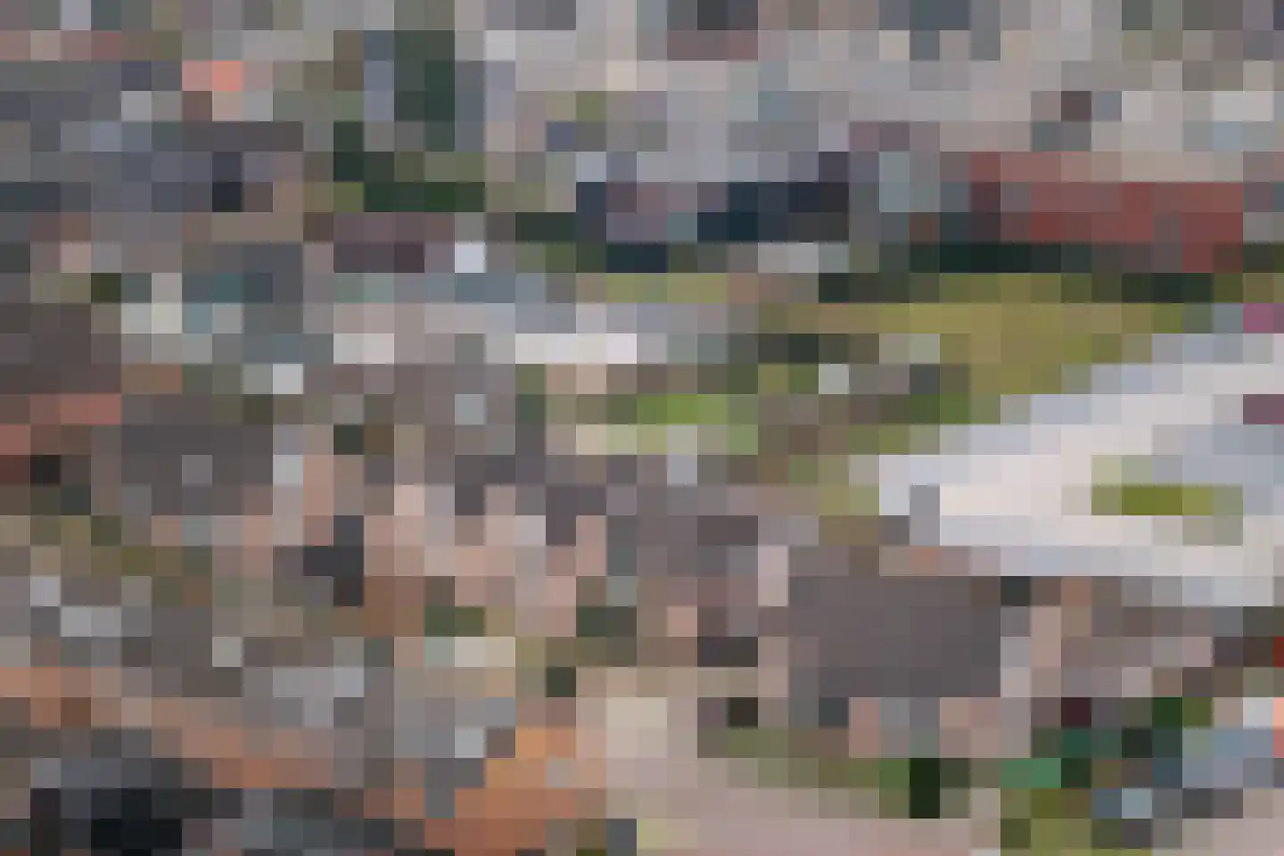 Grote Barteldweg 16 Twello thumbnail 33