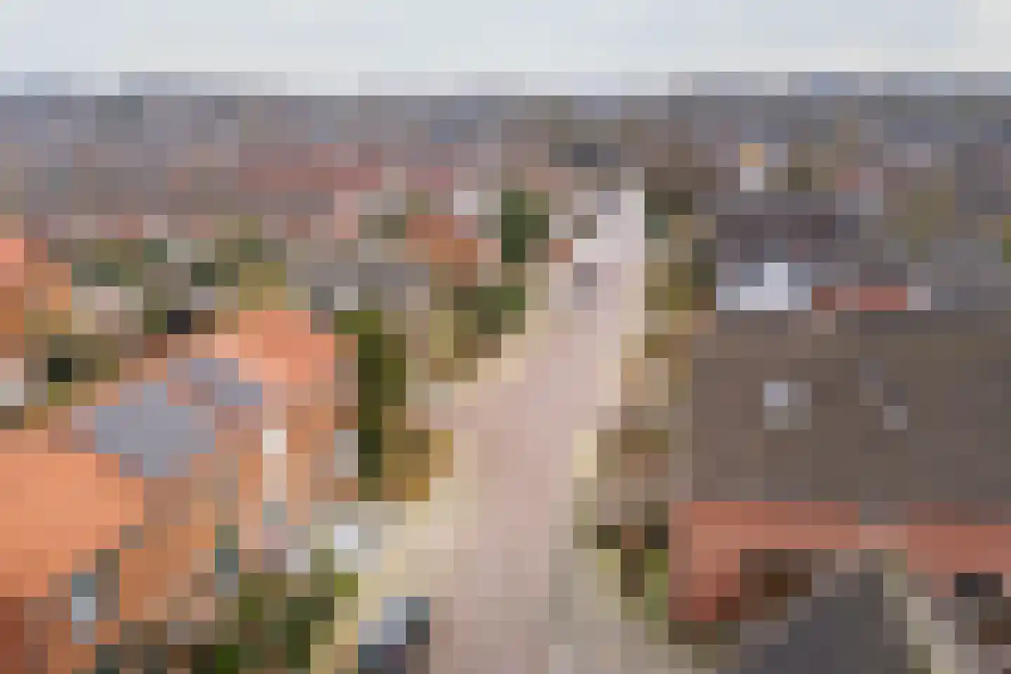 Grote Barteldweg 16 Twello thumbnail 37
