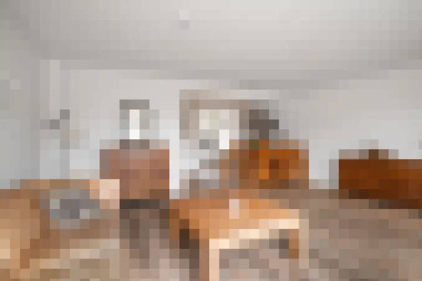 Grote Barteldweg 16 Twello thumbnail 9