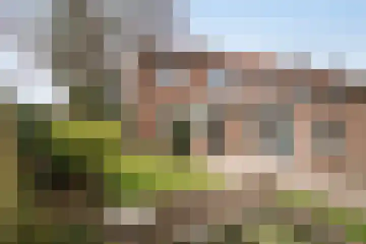 Grote Barteldweg 19 Twello thumbnail 23