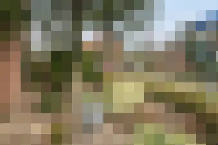 Grote Barteldweg 19 Twello thumbnail 29