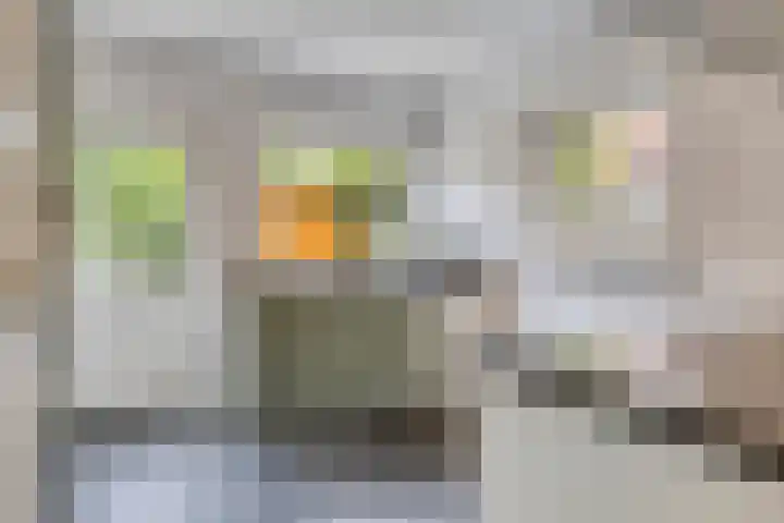 Grote Beemd 10 Boxtel thumbnail 20