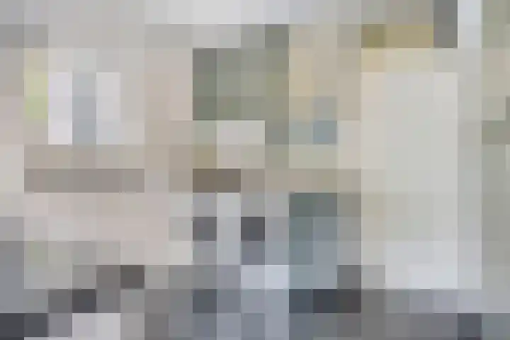 Grote Beemd 10 Boxtel thumbnail 21