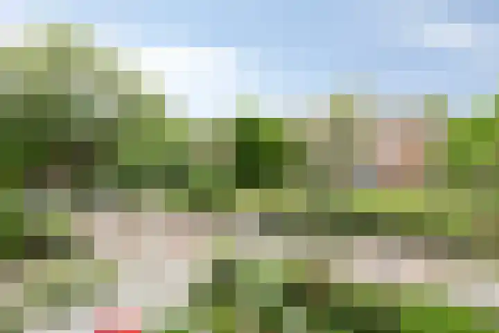 Grote Beemd 10 Boxtel thumbnail 27