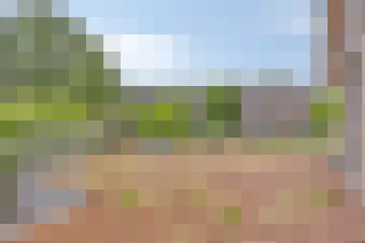 Grote Beemd 10 Boxtel thumbnail 36