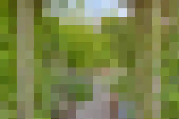 Grote Beemd 10 Boxtel thumbnail 39