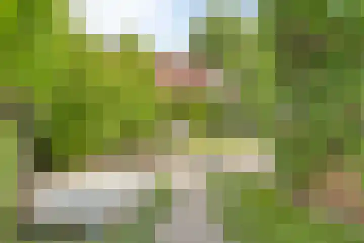 Grote Beemd 10 Boxtel thumbnail 40