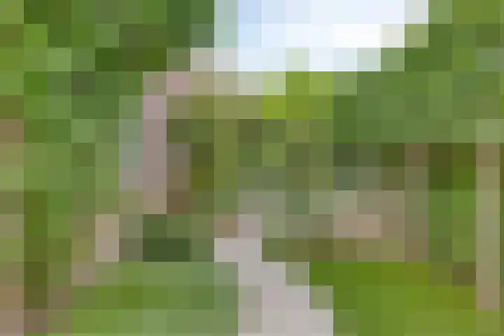 Grote Beemd 10 Boxtel thumbnail 41
