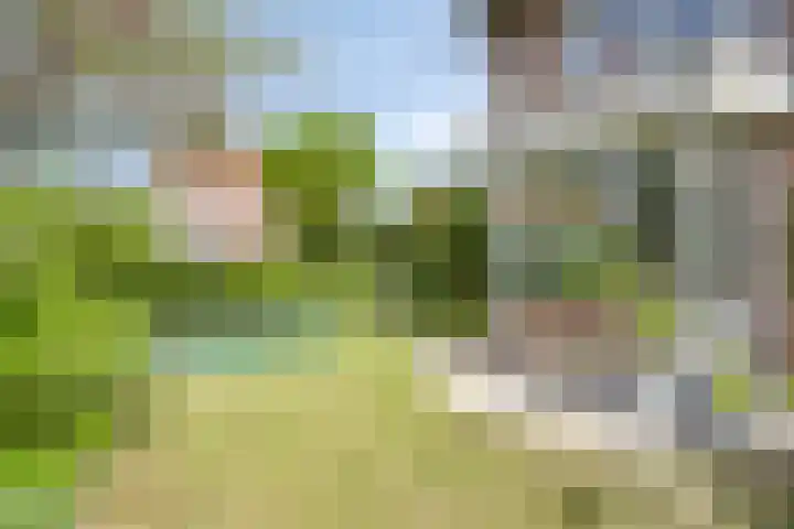 Grote Beemd 10 Boxtel thumbnail 43
