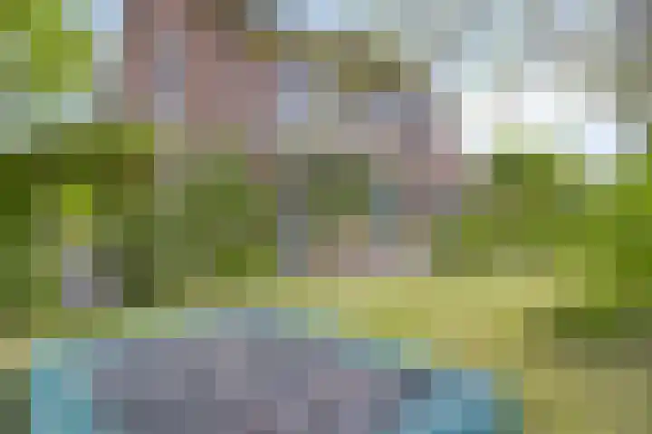 Grote Beemd 10 Boxtel thumbnail 44