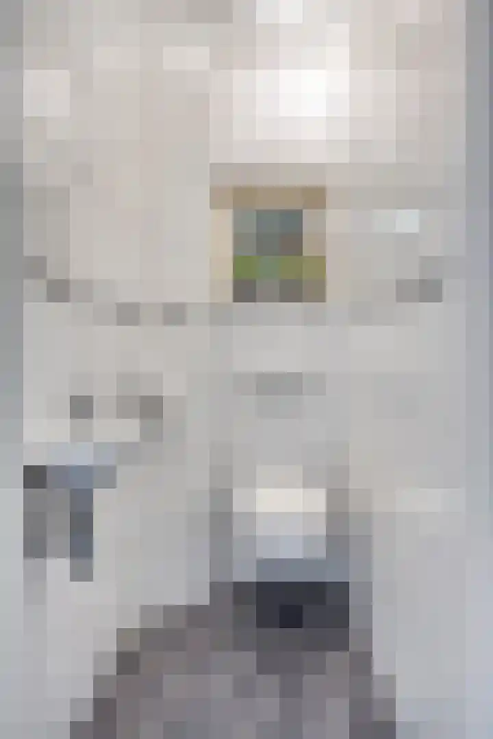 Grote Beemd 10 Boxtel thumbnail 7