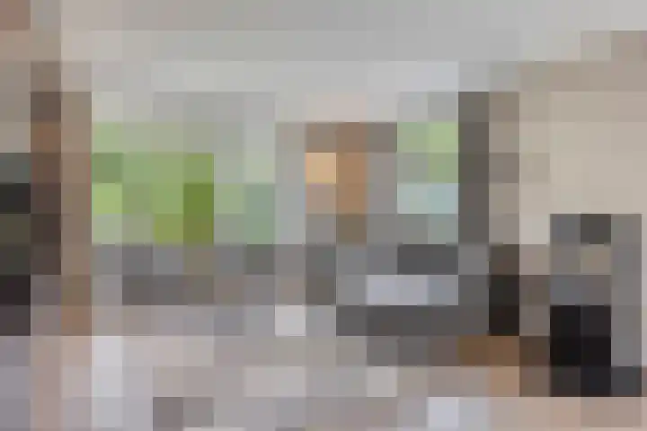 Grote Beemd 10 Boxtel thumbnail 8