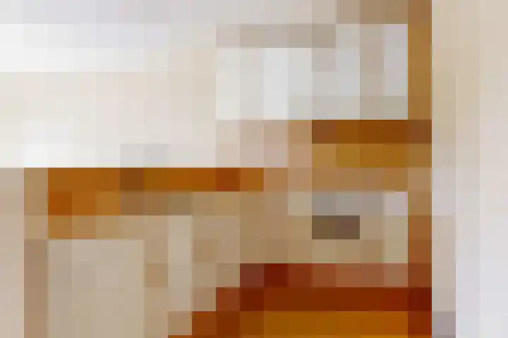 Grote Beer 12 Hoorn thumbnail 17