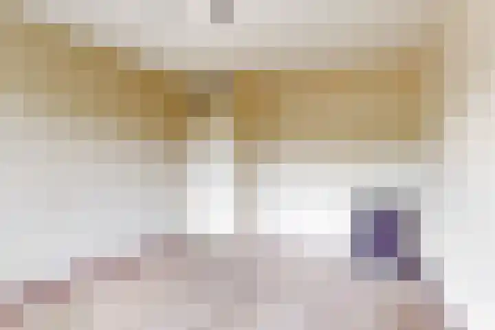 Grote Beer 12 Hoorn thumbnail 20