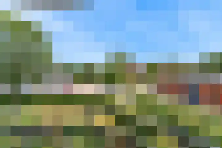 Grote Beer 12 Hoorn thumbnail 23