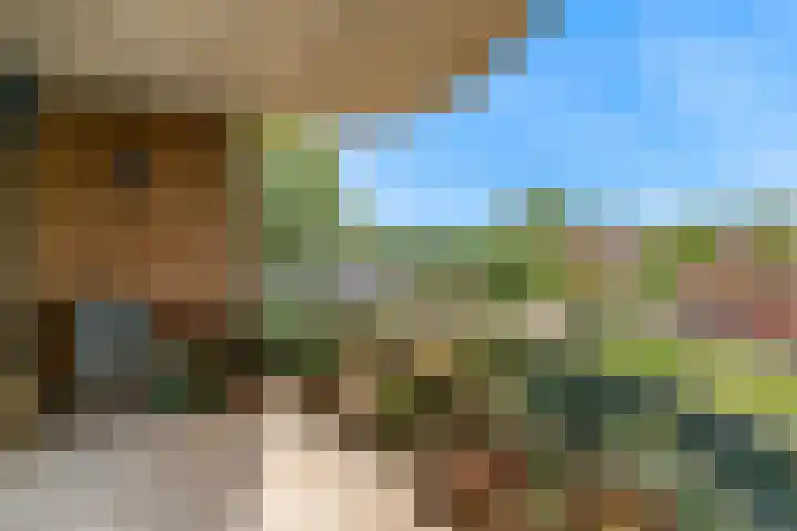 Grote Beer 12 Hoorn thumbnail 24
