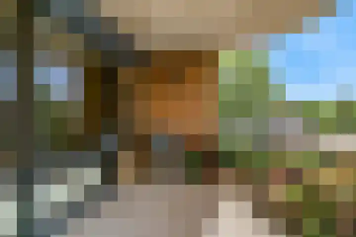 Grote Beer 12 Hoorn thumbnail 25