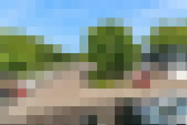 Grote Beer 12 Hoorn thumbnail 31