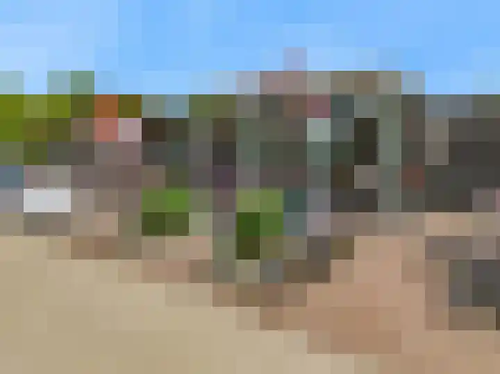 Grote Beer 12 Hoorn thumbnail 32
