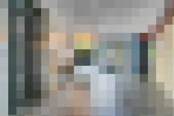 Grote Beer 12 Hoorn thumbnail 4