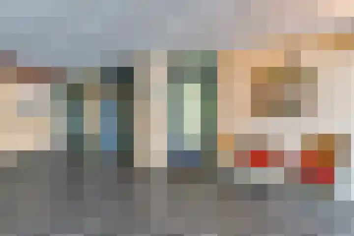 Grote Beer 12 Hoorn thumbnail 5