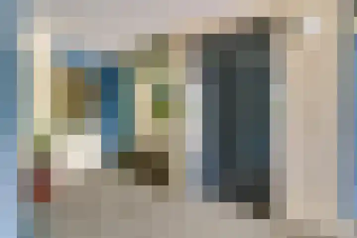 Grote Beer 12 Hoorn thumbnail 7