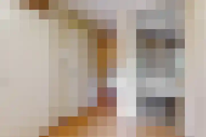 Grote Beer 12 Hoorn thumbnail 9