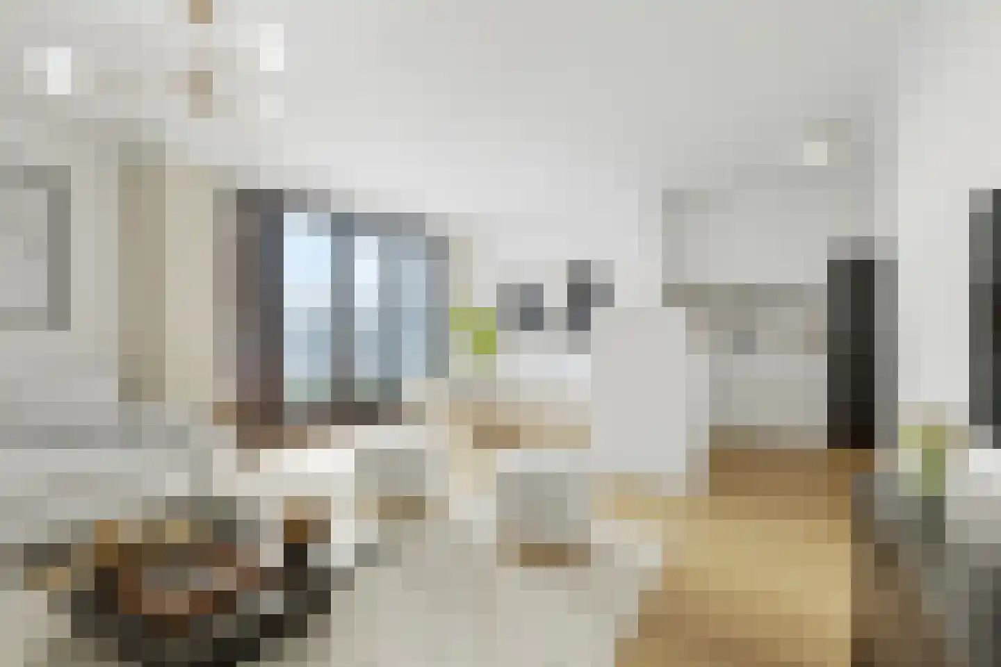 Grote Beer 127 Rotterdam thumbnail 10