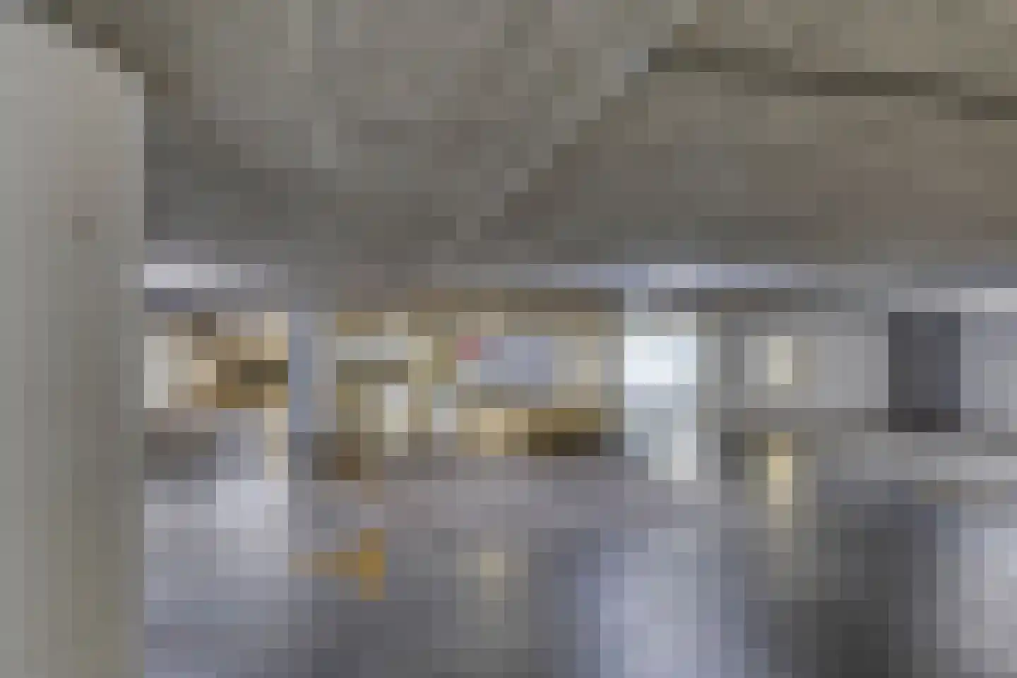 Grote Beer 127 Rotterdam thumbnail 26