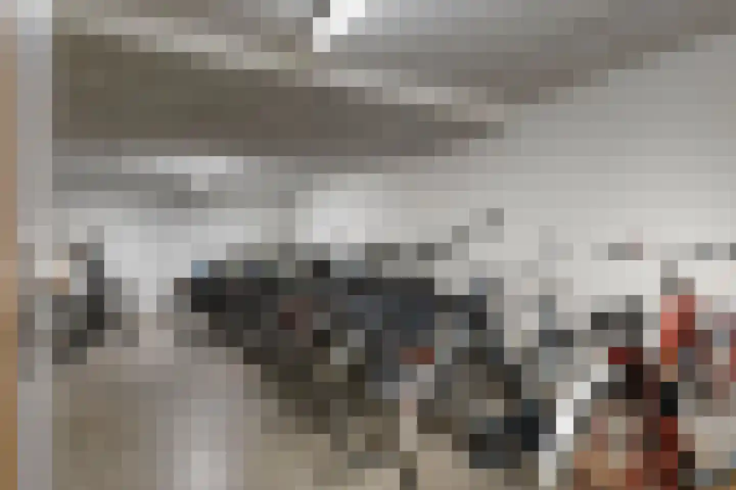 Grote Beer 127 Rotterdam thumbnail 27