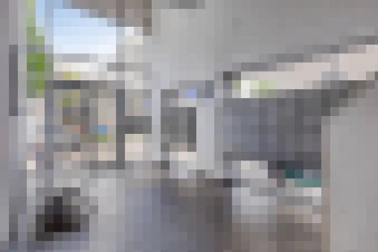 Grote Beer 127 Rotterdam thumbnail 29