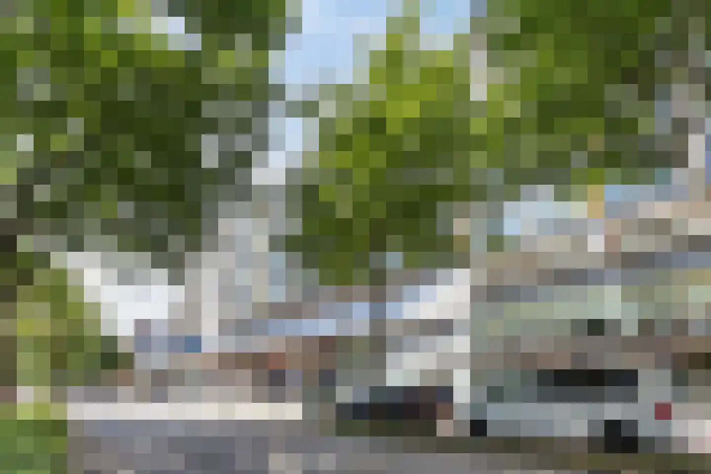 Grote Beer 127 Rotterdam thumbnail 30