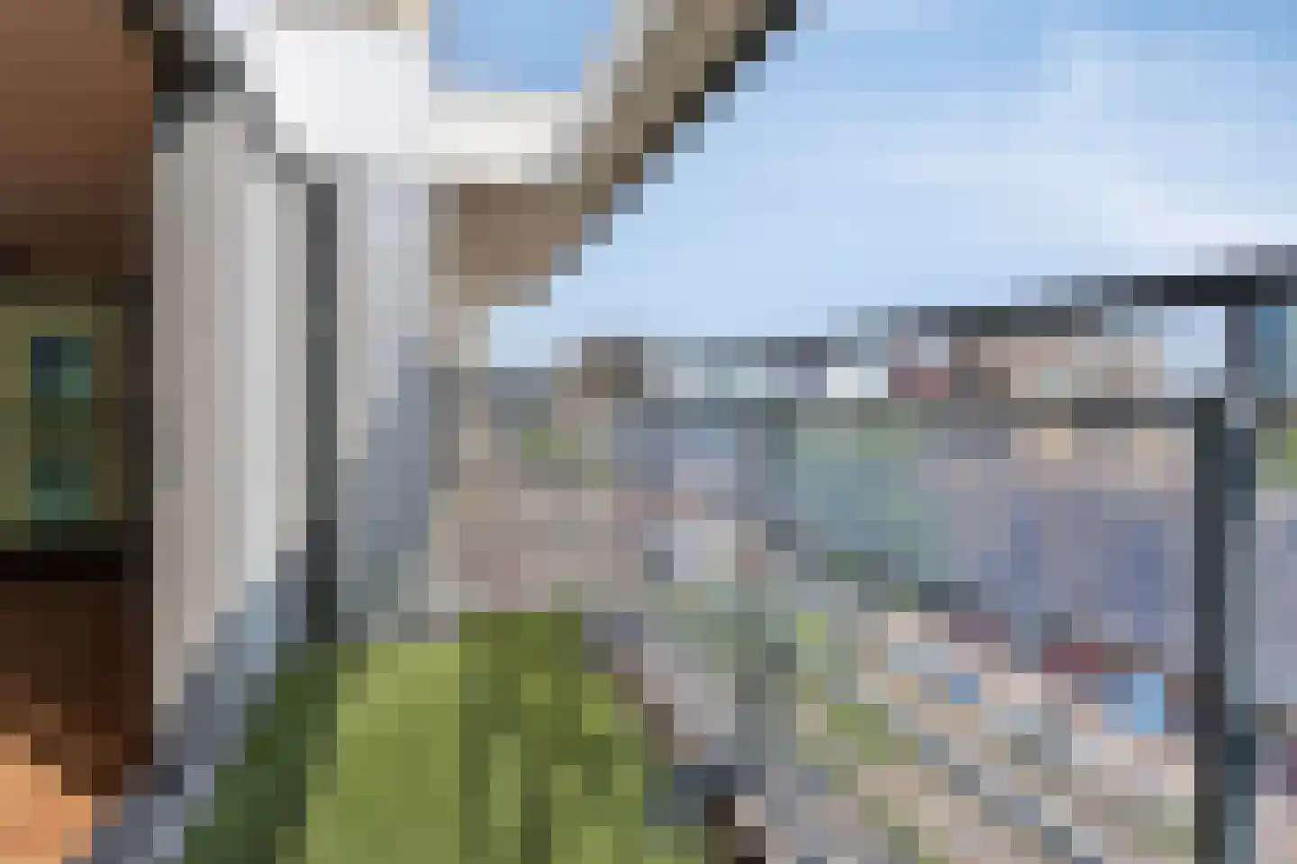 Grote Beer 127 Rotterdam thumbnail 5