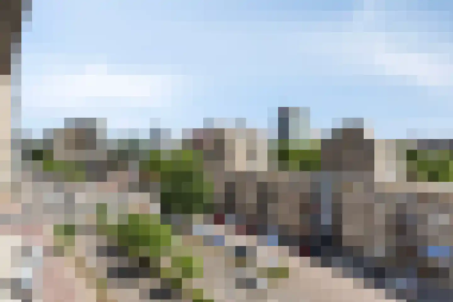 Grote Beer 127 Rotterdam thumbnail 7