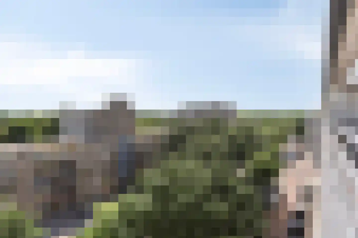 Grote Beer 127 Rotterdam thumbnail 8