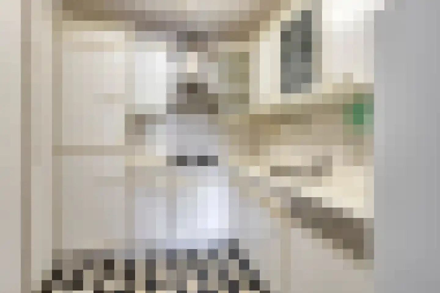 Grote Beer 141 Amstelveen thumbnail 15
