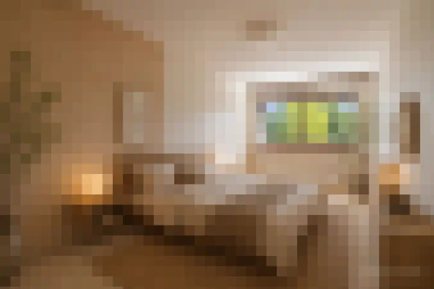 Grote Beer 141 Amstelveen thumbnail 20
