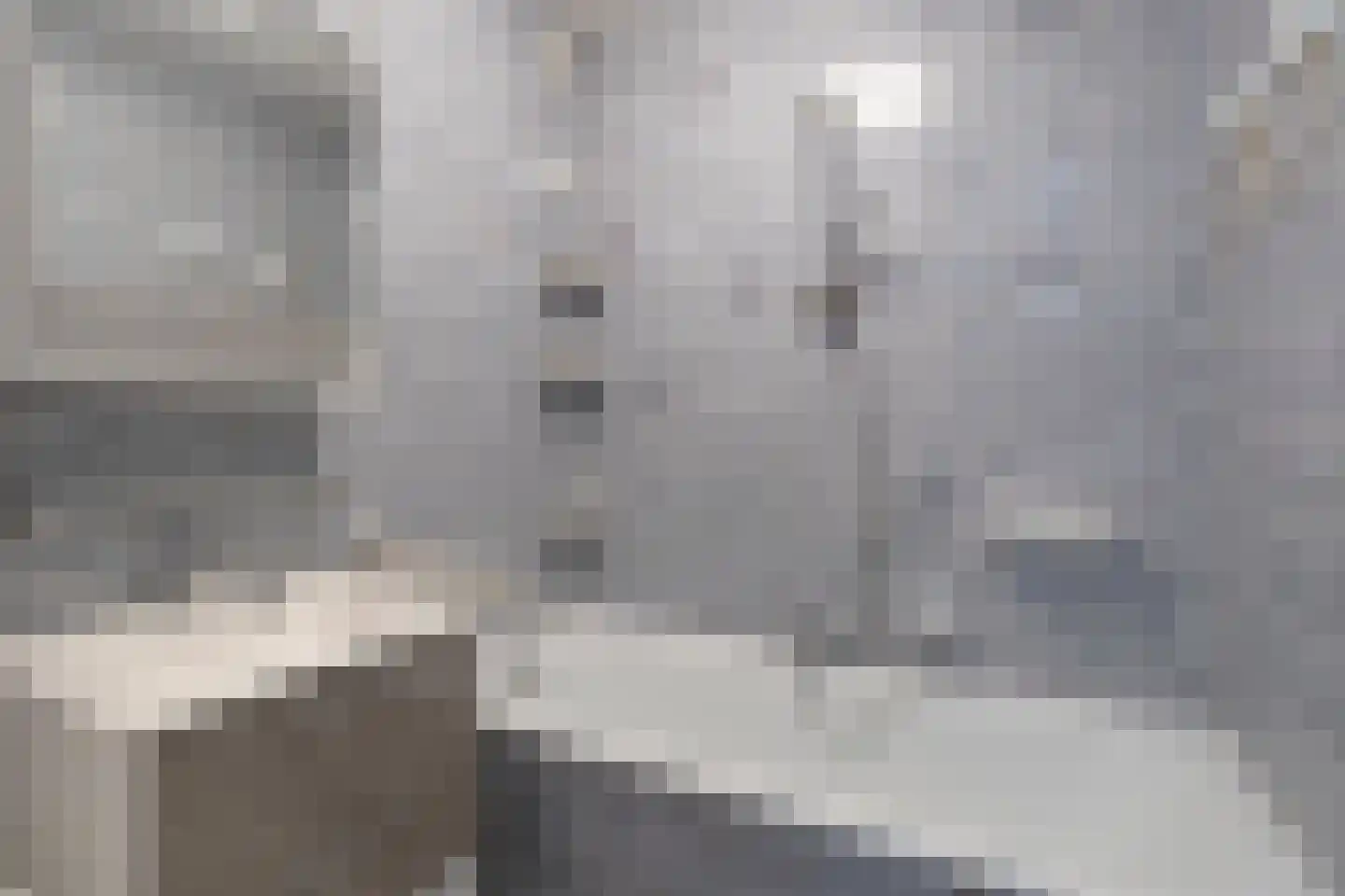Grote Beer 141 Amstelveen thumbnail 21