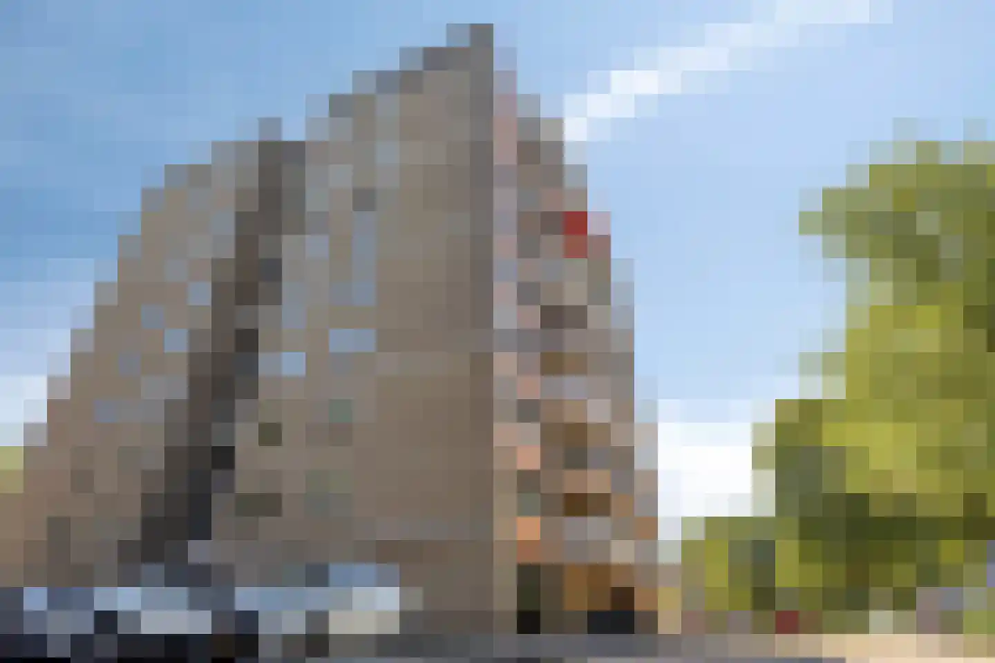 Grote Beer 141 Amstelveen thumbnail 23