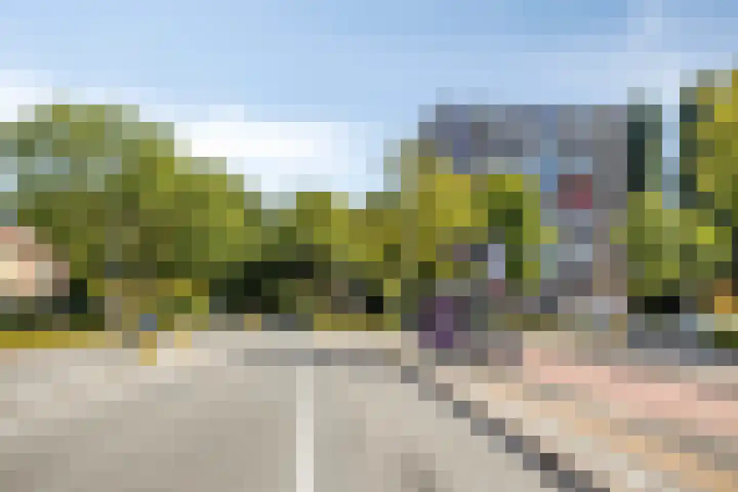 Grote Beer 141 Amstelveen thumbnail 25