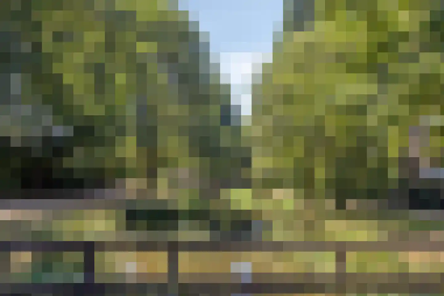 Grote Beer 141 Amstelveen thumbnail 6