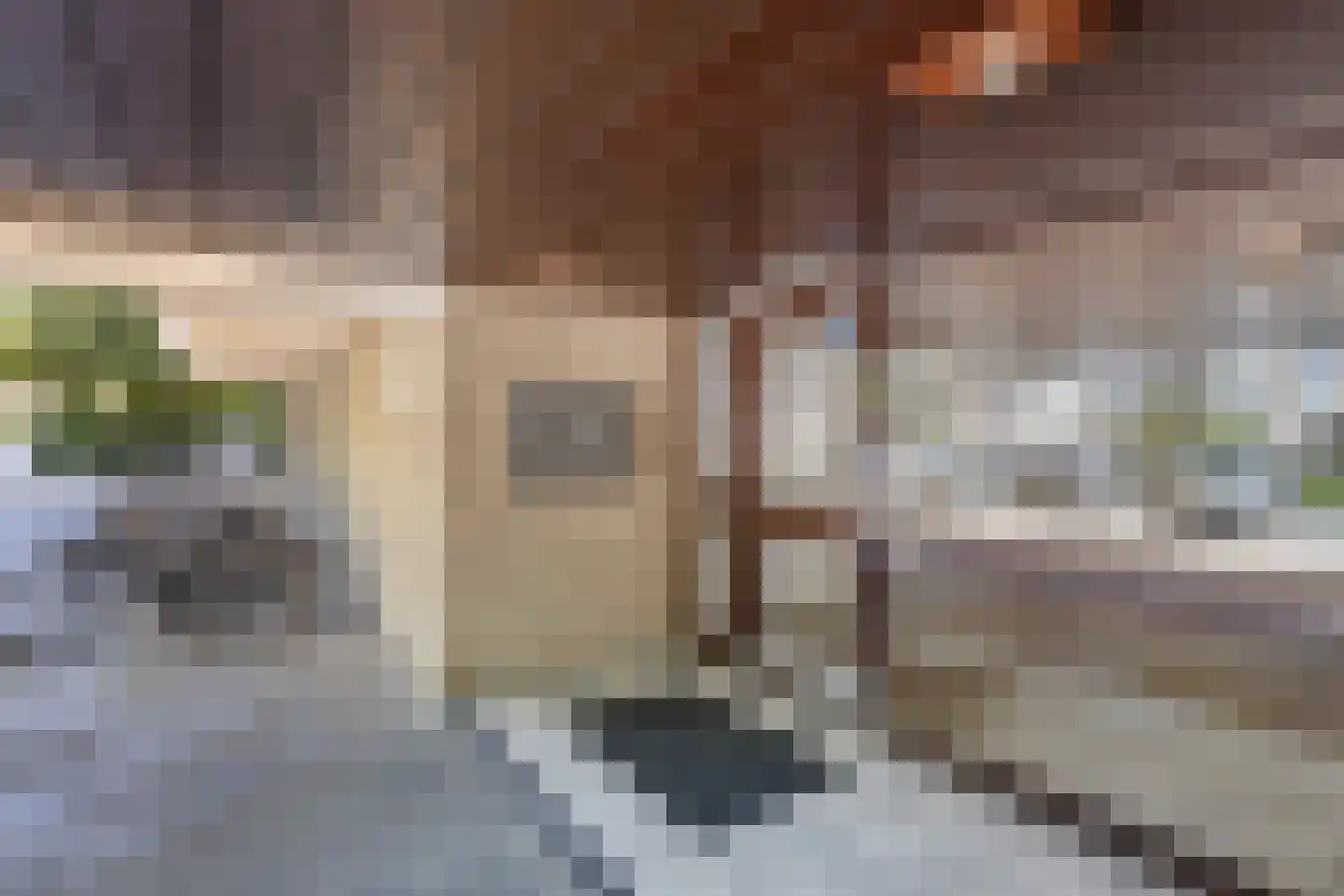 Grote Beer 141 Amstelveen thumbnail 8
