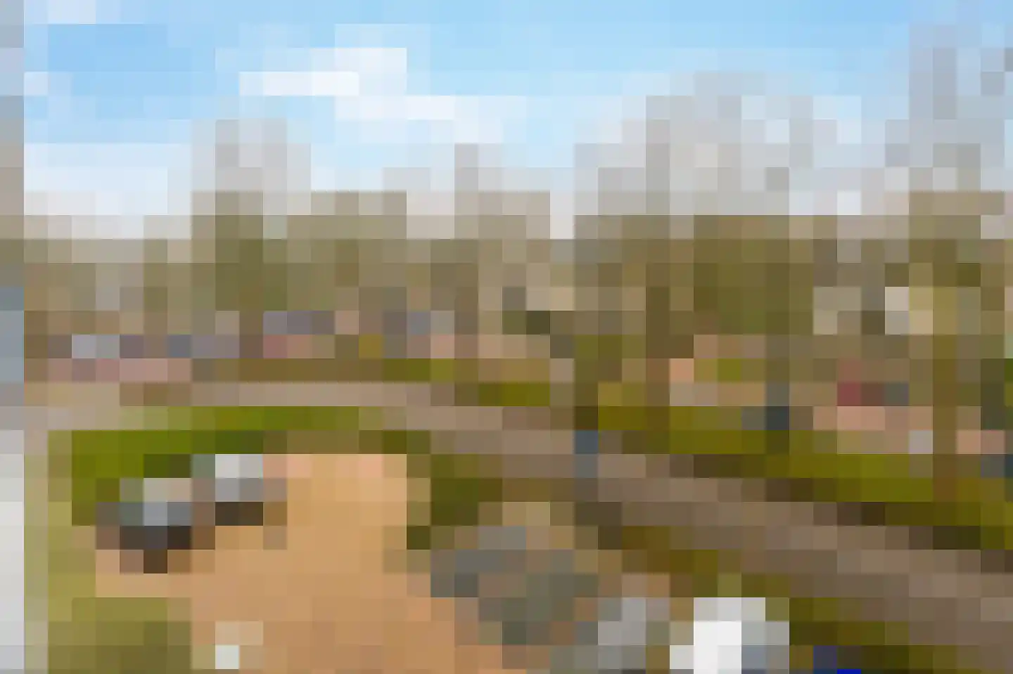 Grote Beer 145 Amstelveen thumbnail 12