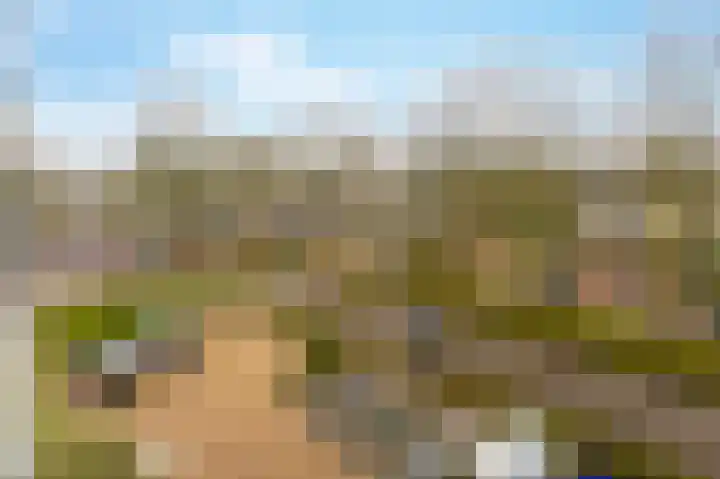 Grote Beer 145 Amstelveen thumbnail 12
